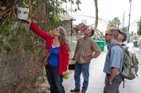 Red palm weevil Technical Working Group