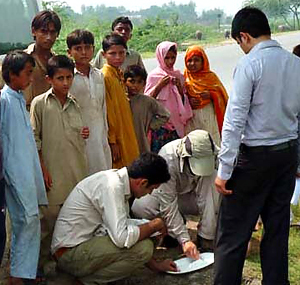 Gathering insects from citrus plants in the Punjab of Pakistan