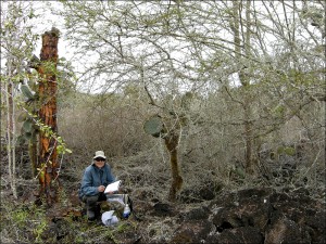 Galapagos 