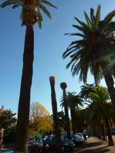 Local park in Hyères France