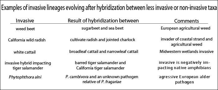 invasive lineages