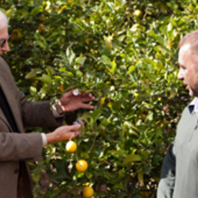 Provost and Executive Vice Chancellor of UC Riverside Dallas Rabenstein (left) and Mark Hoddle (right)