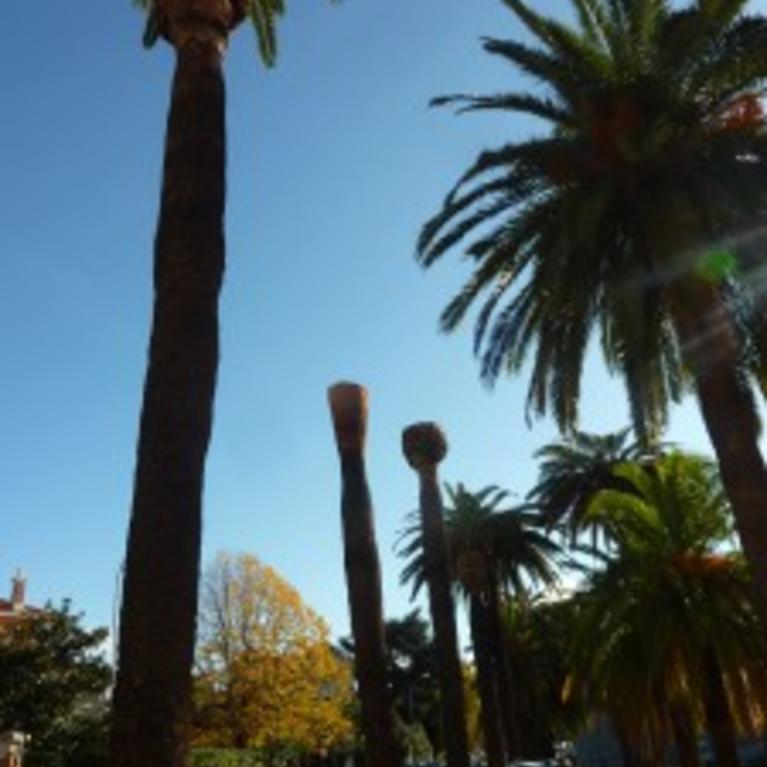 Local park in Hyères France